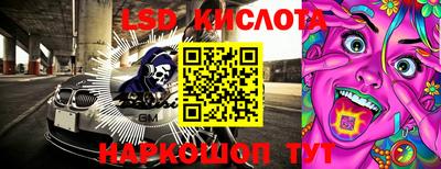 гидропоника Камышлов
