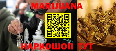 гидропоника Камышлов