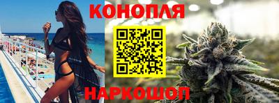 гидропоника Камышлов