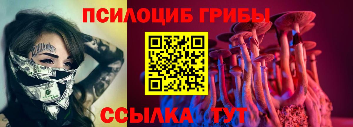 Псилоцибиновые грибы мухоморы Кунгур